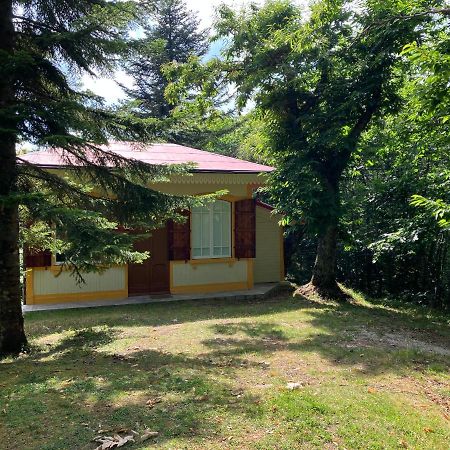 Casa Del Castagno: Un Nido Nel Castagneto Villa Pistoia Luaran gambar