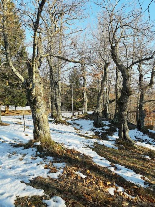 Casa Del Castagno: Un Nido Nel Castagneto Villa Pistoia Luaran gambar